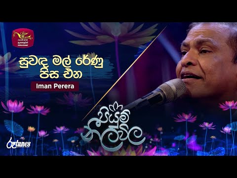 Suwanda Mal Renu Pisa Ena | සුවඳ මල් රේණු පිස එන | Iman Perera | Piyum Neela Vila | Roo Tunes