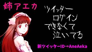 【姉アエカ】Twitter乗っ取られた【たすけて】