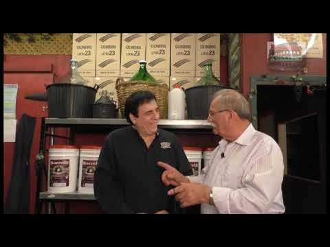 Panorama italiano  8 settembre 2019-