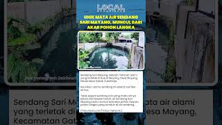 Keunikan Sendang Sari Mayang di Sukoharjo, Munculnya Mata Air dari Akar Pohon Langka