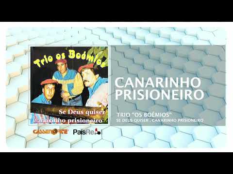 TRIO OS BOÉMIOS -  Canarinho Prisioneiro