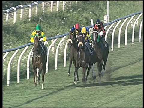 Galoppo 29/07/2015 - 1° corsa