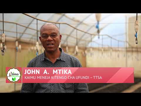 , title : 'Kilimo cha Miti,Tengeneza Milioni 250 Kwa Muda Mfupi'