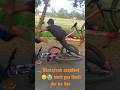 Cycle Stunt Fail Firefox Viral Shorts