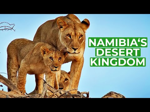 Namibia Animal Kingdom in the Desert