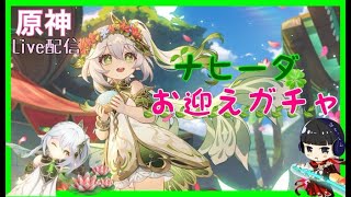 【原神】　セノ君を軸にした金箔ナッヒー構成にチャレンジ！