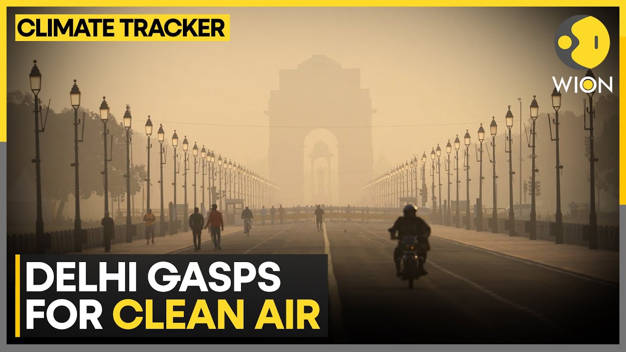 Delhi’s Air Quality Fails to Improve, 'Poor' and 'Severe' Categories Persist | WION Climate Tracker