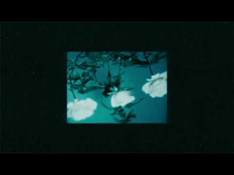 Nørus - Innature, Part VI