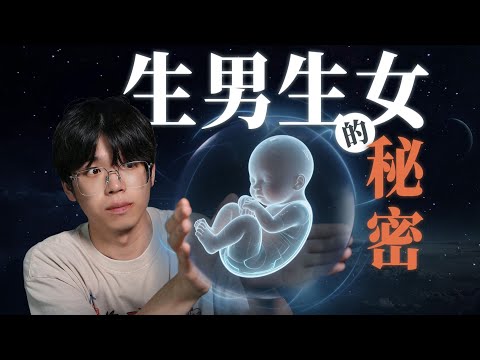 生物老师说你爸决定你的性别，但他错了！