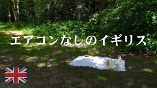 【猛暑のロンドン】イギリス流ピクニックと地元民に大人気の緑あふれるガーデンカフェ🌿│エアコンなしでどう過ごす？