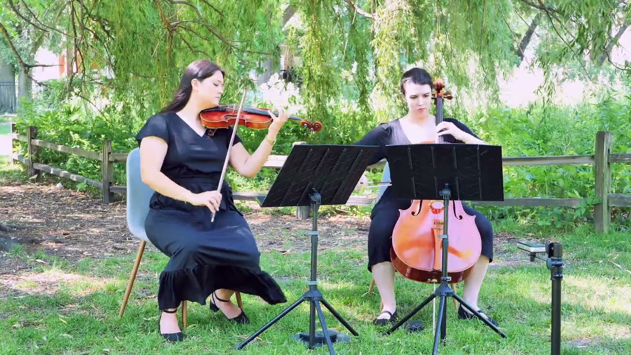 Promotional video thumbnail 3 for Evanston Strings, Elegant & Professional Live Music