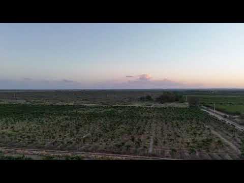 Vendemos Finca 231 Hectáreas, Rivadavia, Mendoza.