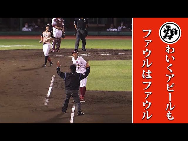 可愛くアピール でもファウル…本日のまとめるほどではないまとめ