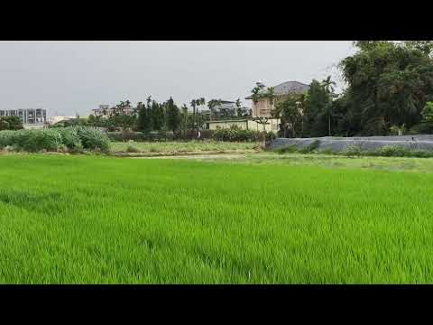 萬丹鄉-萬惠段農地出售 第1張共16張