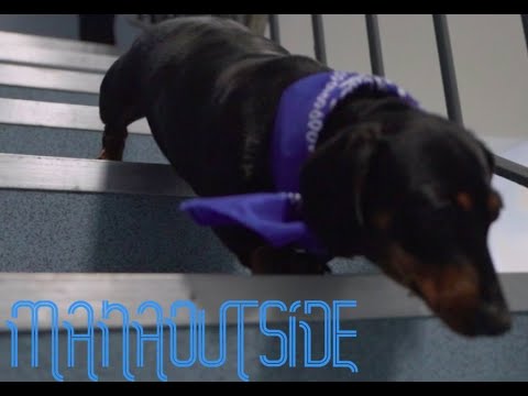 P From Lee - Manaoutside (Prod. Shimz343) (Official Music Video) ( [@PFromLee]