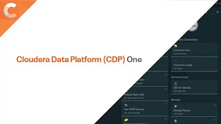 CDP One Demo Introduction