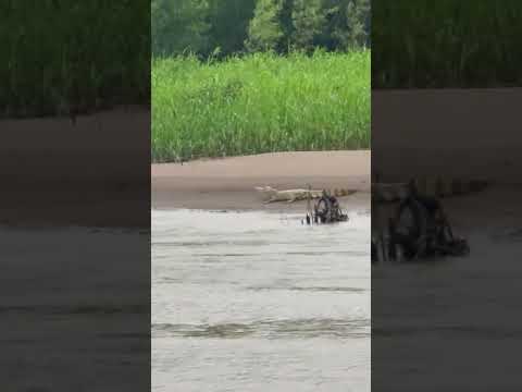 Navegando río tambopata madre de dios