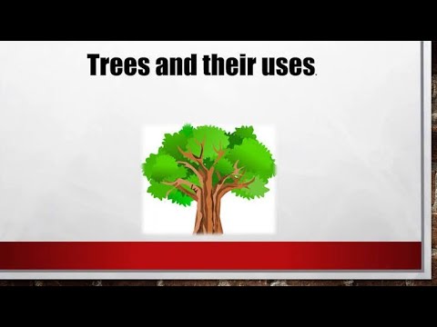 Lines/paragraph on Uses Of Trees. Essay on importance of trees. Let's Learn English and Paragraphs. Video