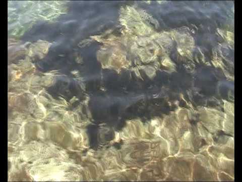 Rhythms del Mundo feat.  Die Fantastischen Vier - Tag am Meer