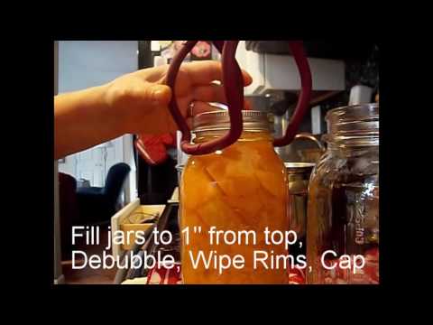 download lagu mp3 mp4 What Is A Gramma Pumpkin, download lagu What Is A Gramma Pumpkin gratis, unduh video klip What Is A Gramma Pumpkin