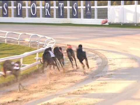 2017 STAR SPORTS DERBY - 1ST SEMI - T1 HIYA BUTT