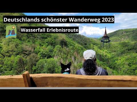 Deutschlands schönster Wanderweg 2023 | Wasserfall-Erlebnisroute in der Vulkaneifel | Tageswanderung