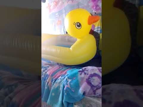 Freegle Find Munchkin Inflatable Safety Duck Bath Review