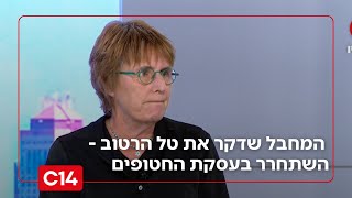 "יצא עם מיליונים": המחבל שדקר 18 פעמים את טל הרטוב - השתחרר בעסקת החטופים (חדשות ערוץ 14) - התמונה מוצגת ישירות מתוך אתר האינטרנט יוטיוב. זכויות היוצרים בתמונה שייכות ליוצרה. קישור קרדיט למקור התוכן נמצא בתוך דף הסרטון