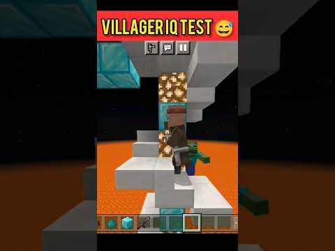 Minecraft Villager IQ Test // AK Gamer 95