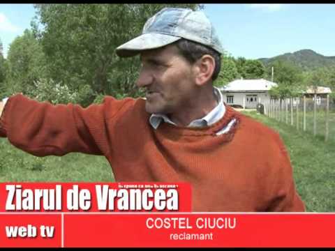 viceprimarul din Spulber face legea cu toporul