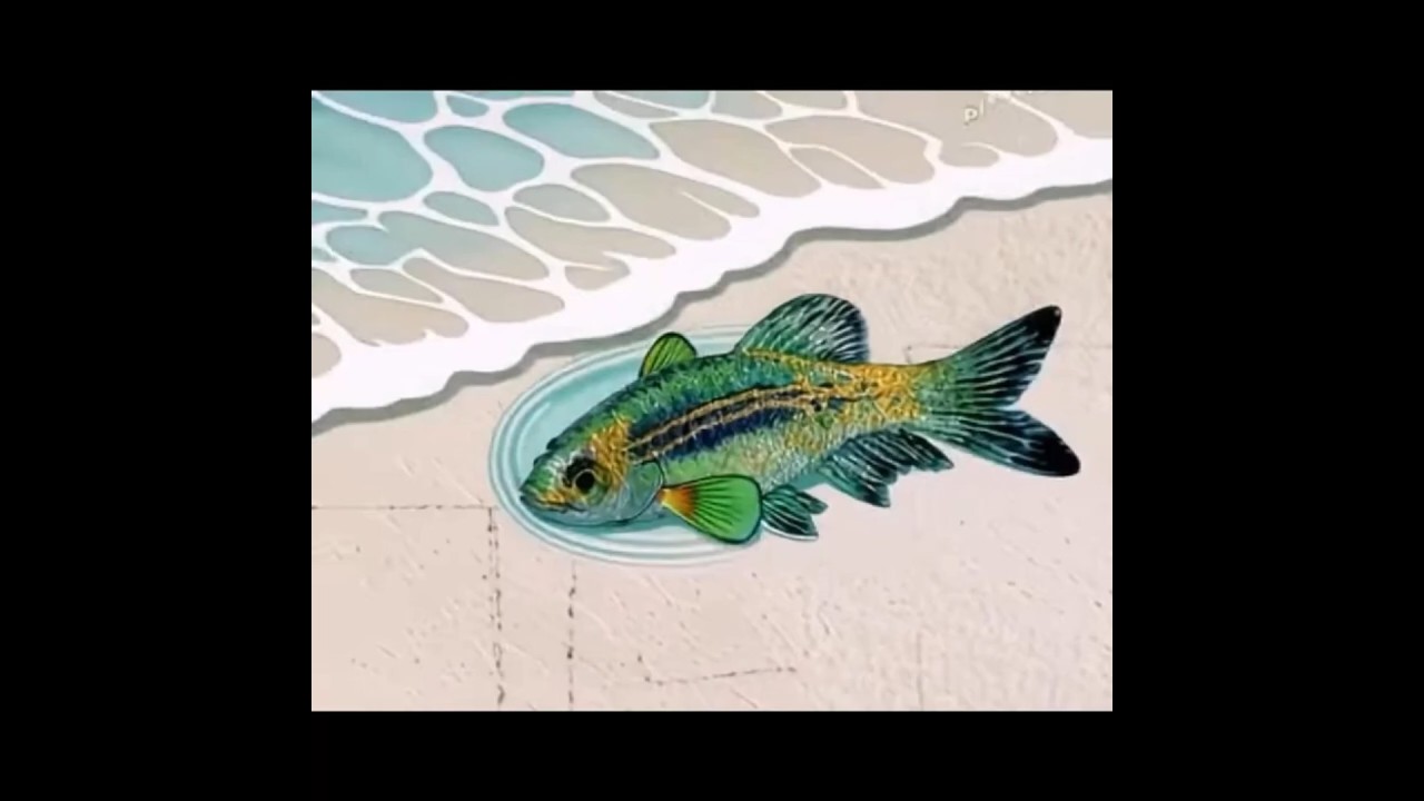 Watercolor fish comes alive! 🐟✨ | AI animation + art Magic #ai #art #drawing #painting