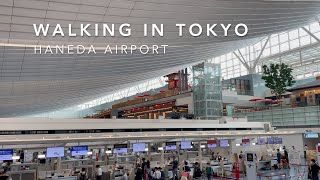Download lagu WALKING IN TOKYO/HANEDA AIRPORT mp3 Download lagu WALKING IN TOKYO/HANEDA AIRPORT mp3