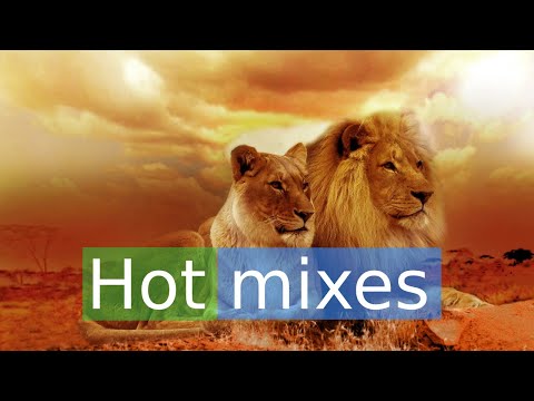 Carefully selected remixed songs