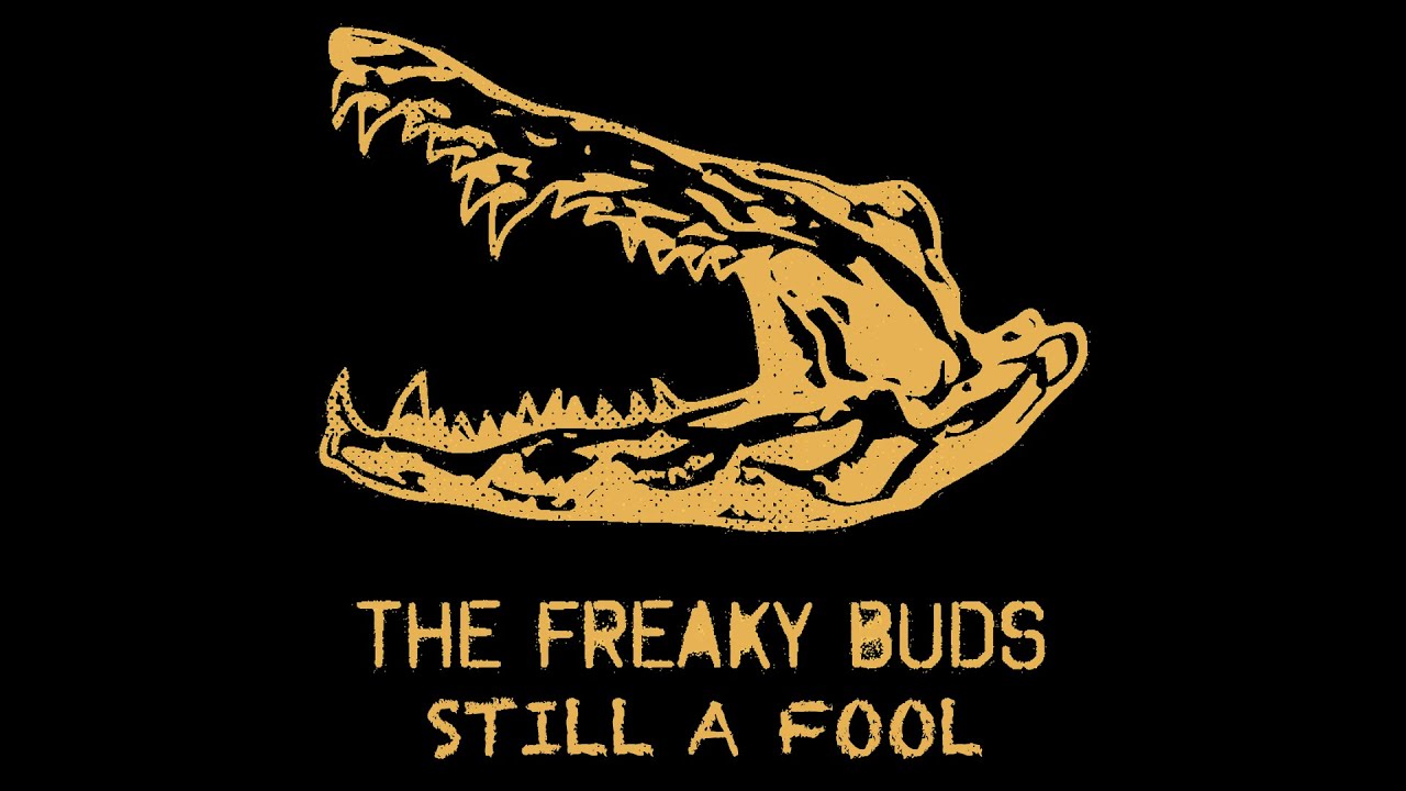 The Freaky Buds - Still a fool (Live at Cognac Blues Passion)