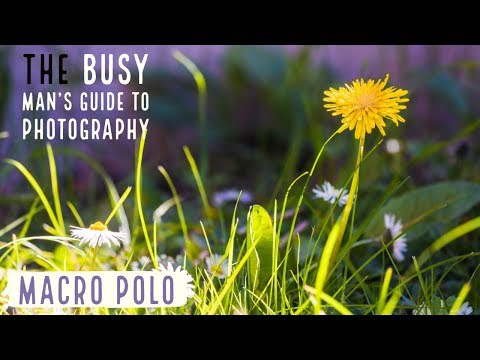 Great Macro Photography | Paul Adams