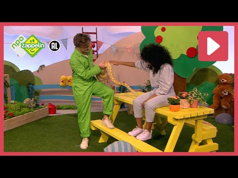 SLANGEN | Zin in Zappelin | NPO Zappelin