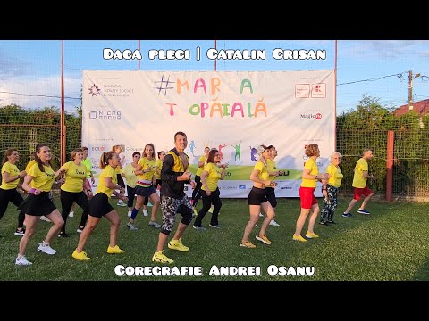 Andrei Osanu - DACA PLECI