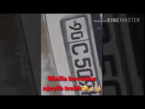 MULLA BUVA 2 👳🏾♂️ 509 😄