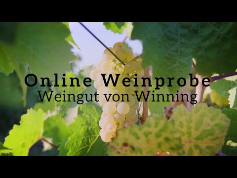 Online Weinprobe im Weingut von Winning - im Auftrag der tcworld gmbh