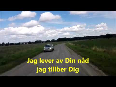 Segerns Krona (textvideo) - Jeanette Alfredsson och Ida Möller