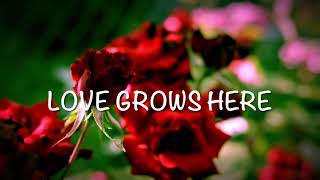 Love Grows Here / Sung by Nancy Price