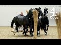 The Brutal Truth Behind Ancient Rome S Chariot Races