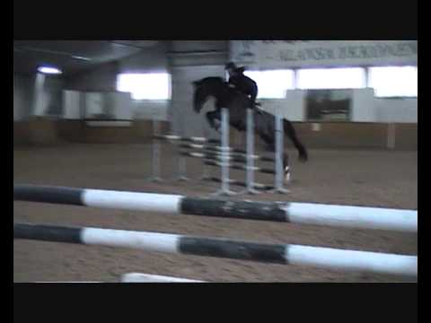 1.-3.3 Ypäjä, maajoukkueleiri // Colorado