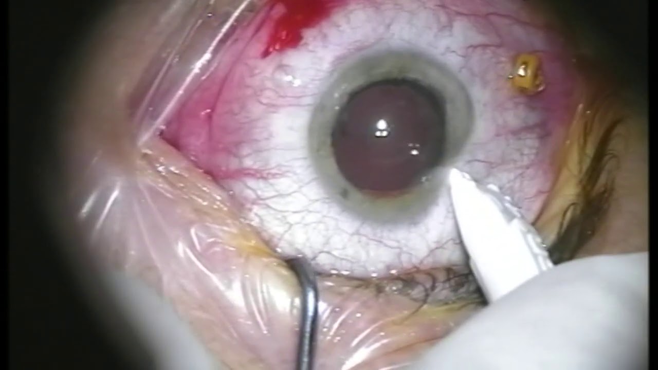 Francesco Giordano-19