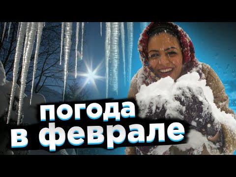 Погода в Украине в феврале - синоптики дали прогноз