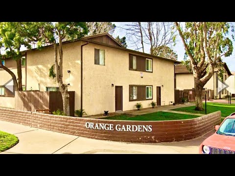 237 - VIP Future, LP (Orange Gardens) - Video 2 of 2