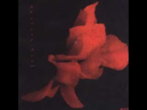 Blitto - Steps   2000