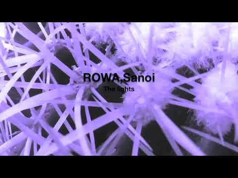 ROWA,  Sanoi  - The Lights (Traum 246)