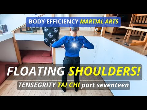 "FLOATING SHOULDERS!" | TENSEGRITY TAI CHI part 17