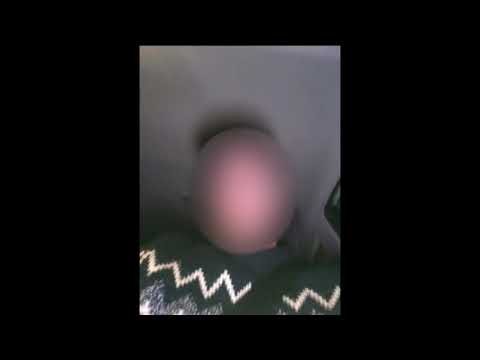 De Klojo's - Lelijk [Official Audio]